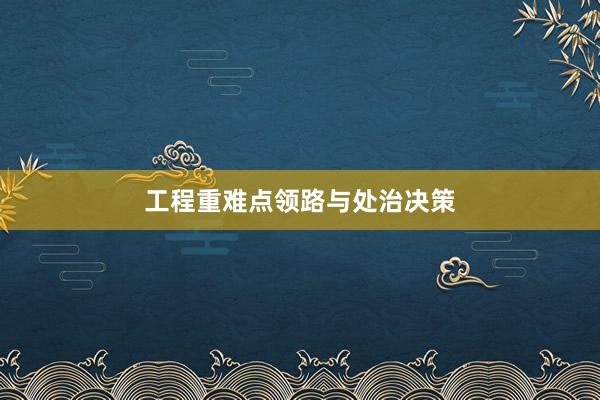工程重难点领路与处治决策