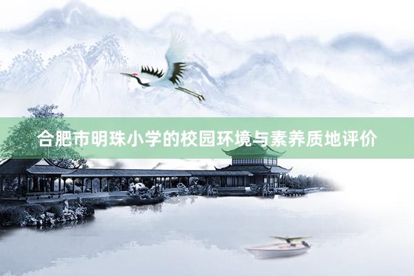 合肥市明珠小学的校园环境与素养质地评价